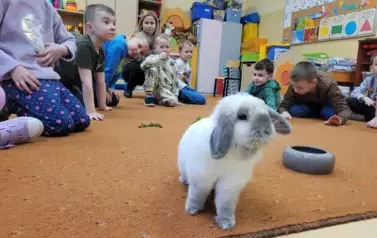 Kr&oacute;lik Tusia w Oddziale przedszkolnym 1