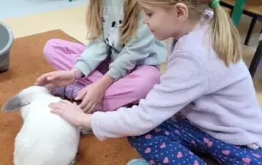 Kr&oacute;lik Tusia w Oddziale przedszkolnym 2