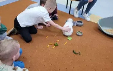 Kr&oacute;lik Tusia w Oddziale przedszkolnym 3