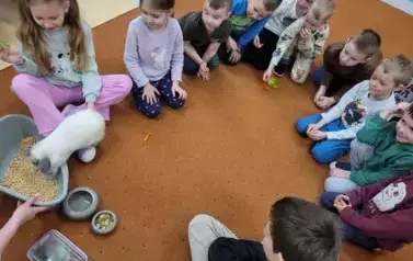 Kr&oacute;lik Tusia w Oddziale przedszkolnym 5