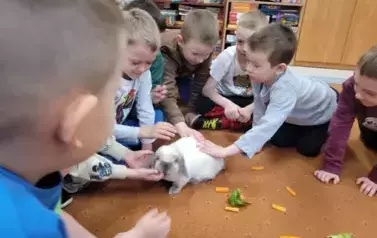 Kr&oacute;lik Tusia w Oddziale przedszkolnym 6