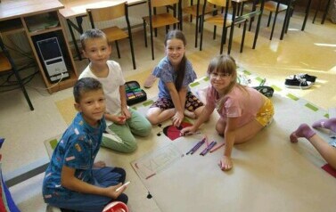 projekt 24