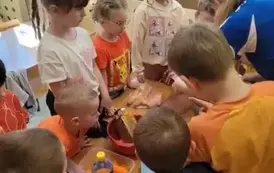 Dzień marchewki w przedszkolu. 8