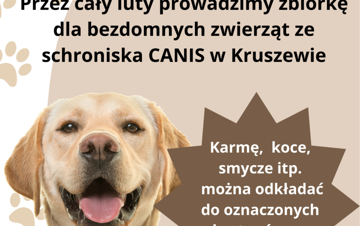 Zdjęcie do Zbi&oacute;rka dla zwierząt ze schroniska!